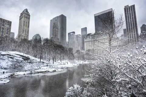 Snow new