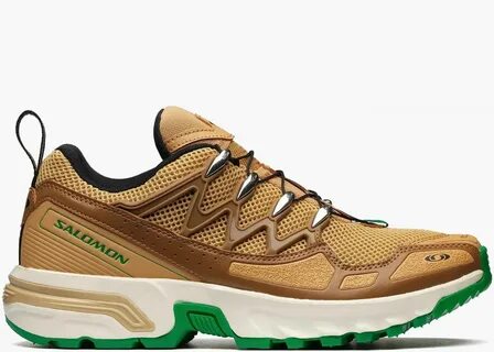 Salomon acs