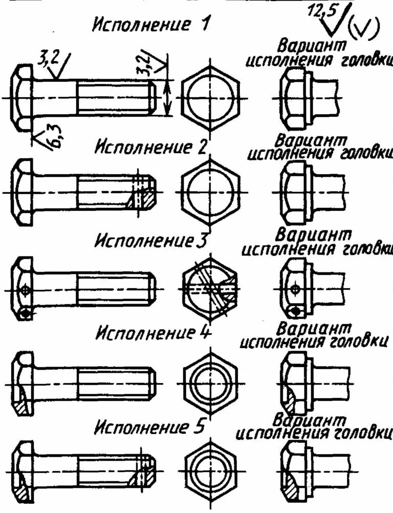 Варианты исполнения в тексте. Вариант исполнения головок болта с пояском. Вариант исполнения головки болта. Типы головок болтов. Винты виды исполнения.