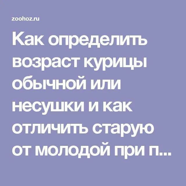 Как определить Возраст курицы. Как определить Возраст куририцы. Возраст курицы несушки. Как определить Возраст несушки. Как отличить молодую от старой