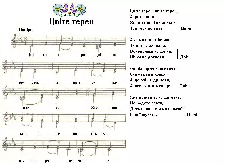 Песня жила украинская. Цвите терен текст песни. Слова цвiте терен. Слова песни Цвите терен на украинском. Цвіте терен текст на украинском.