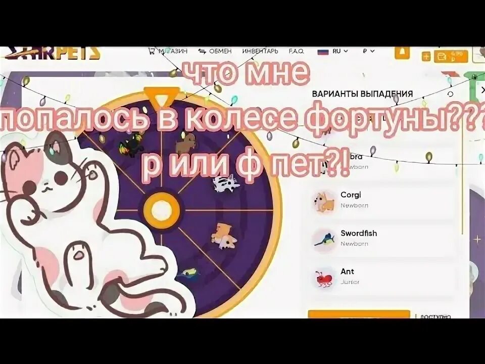 Стар петс точка. Промокод на колесо фортуны Стар петс. Промокоды в Стар петс на колесо фортуны 2023. Коды на колесо фортуны в Стар петс 2023. Промокоды для Стар петс для колеса фортуны 2022.