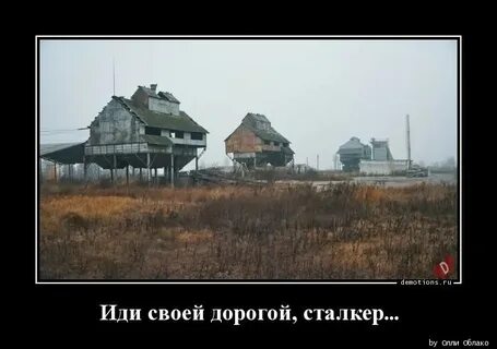 Пойду своей дорогой