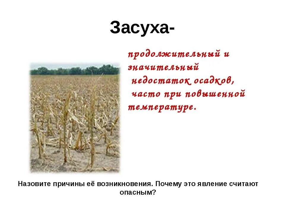 Засуха значение. Причины возникновения засухи. Презентация на тему засуха. Причины засухи кратко. Причины появления засухи.