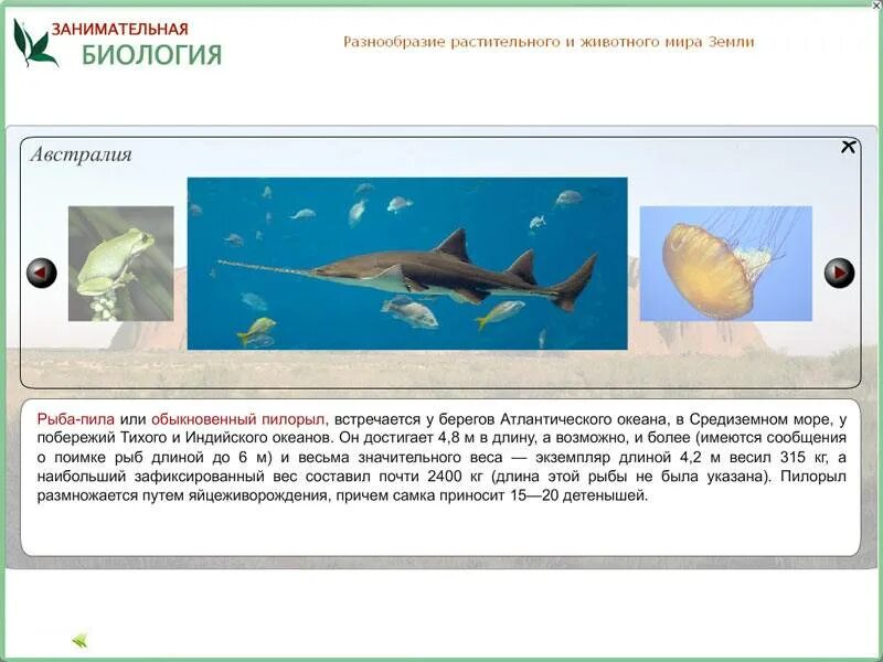 Программа занимательная биология 5 класс. Занимательная биология. занимательная биология презентация. кружок по биологии 5 класс занимательная биология. занимательная биология картинки.