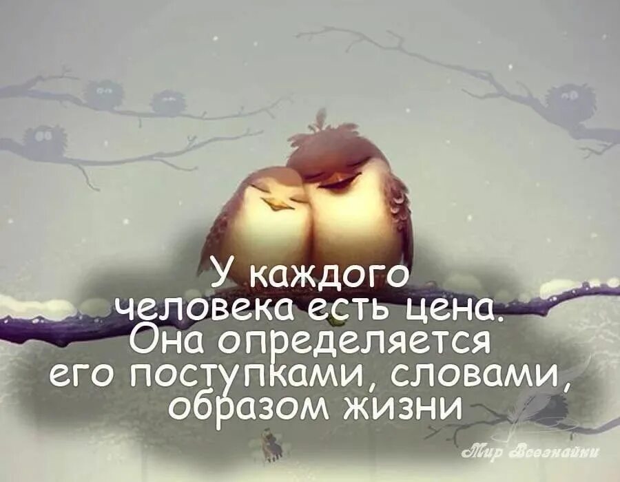 Сожелению