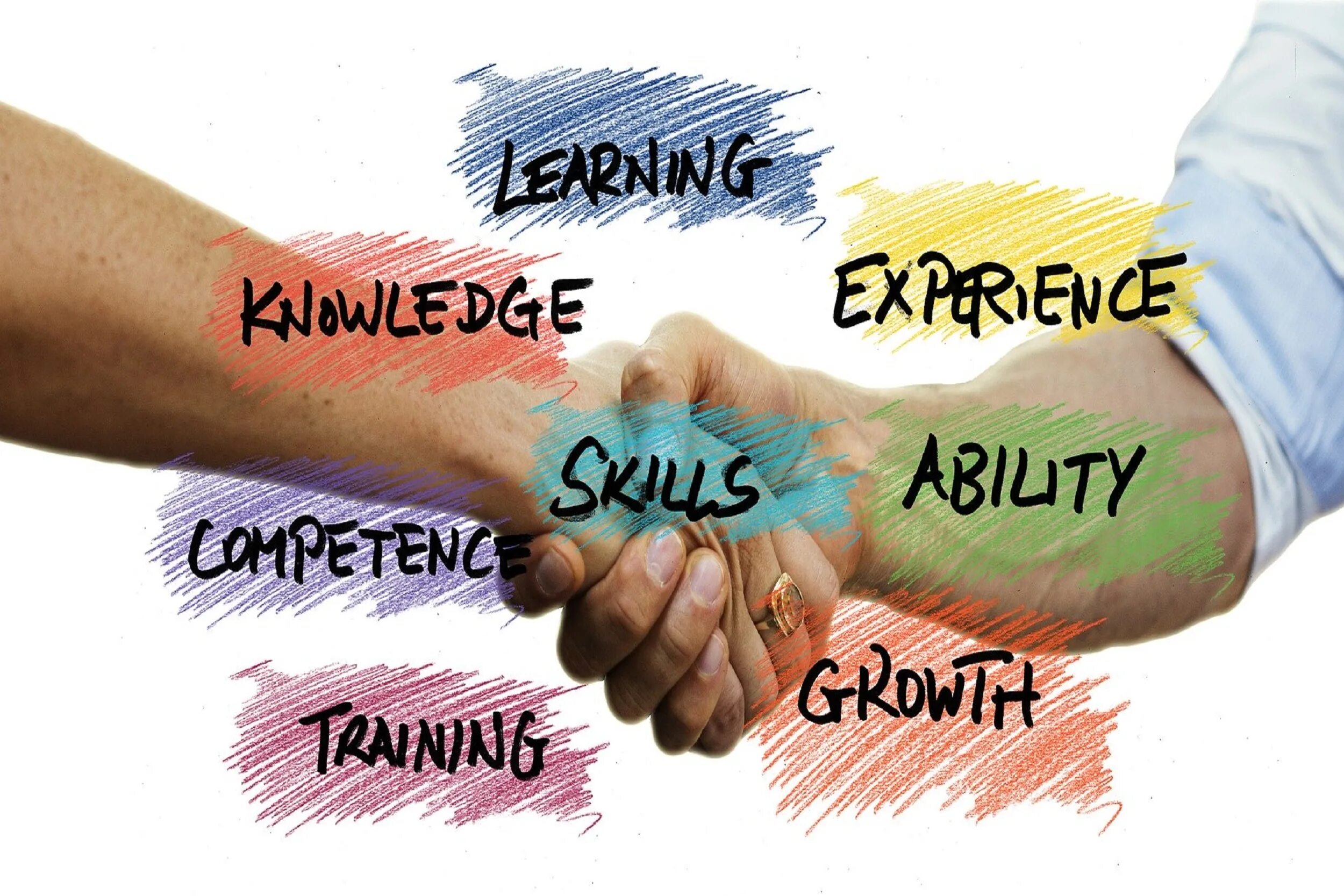 Skill development. Soft skills тренинг. self management skills. skill надпись. business skills 2025 логотип.