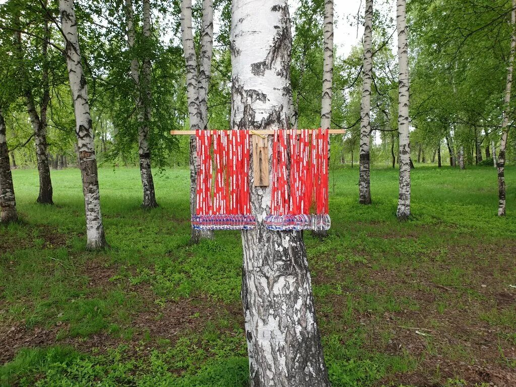 ул. улица тараса шевченко 71 абакан. инфосервис абакан. тараса шевченко, 71а. рок бар ленинского комсомола абакан.