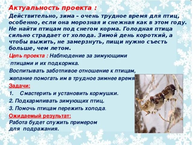 Проект как помочь животным зимой 2 класс