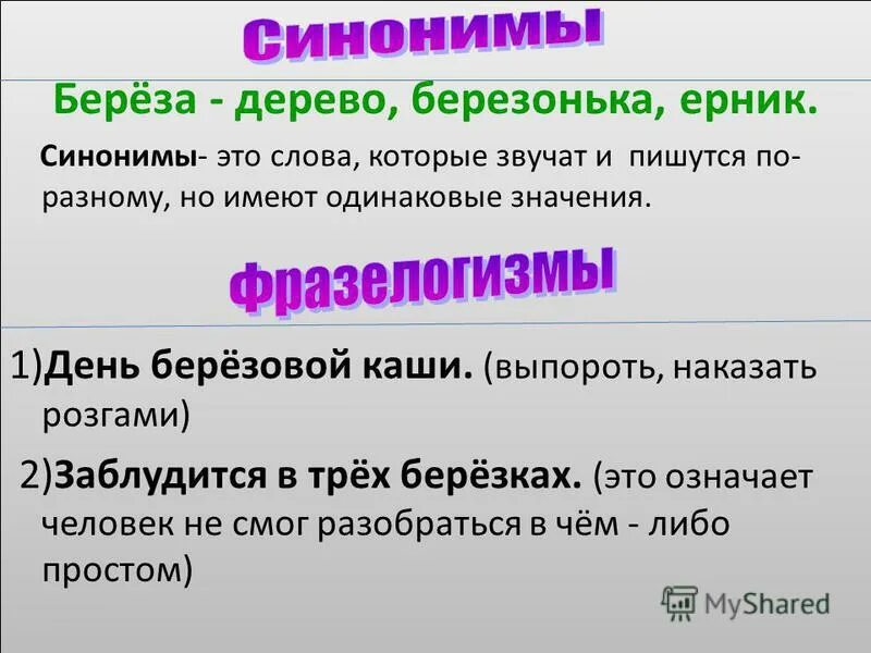 Синоним слова со. Синонимы к слову береза. Антонимы к слову береза. Антоним и стноним к слову берёза. Синонимы к слову береза 3 класс.