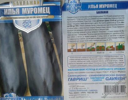 Сорт русский богатырь