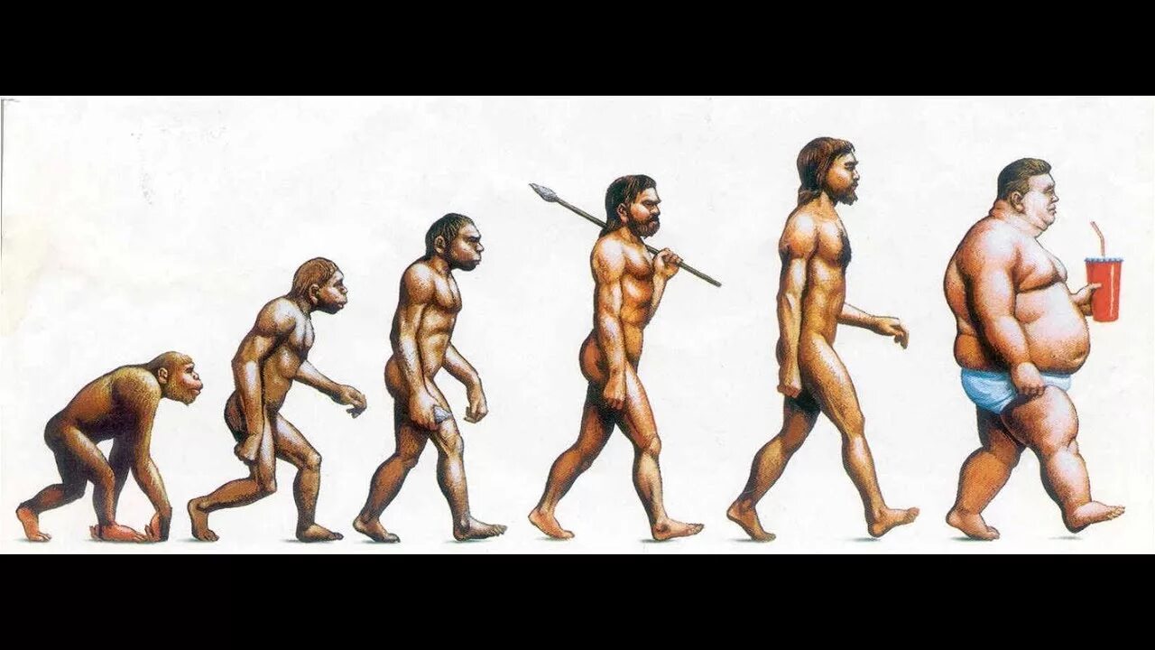 Эволюция слабые сильные. Теория Дарвина о эволюции человека. Эволюция Дарвин хомо. Цепочка Дарвина эволюционная. Хомо сапиенс Эволюция Эволюция следующая ступень.