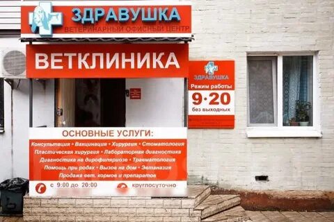 Здравушка купавна