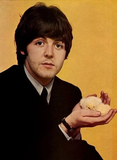 Пол маккартни википедия биография и личная жизнь Paul MCCARTNEY Без примесей и вредных добавок Звуки.Ру