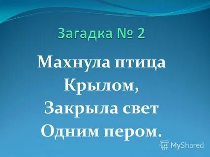 Махнула птица крылом