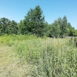Продам участок тверская область