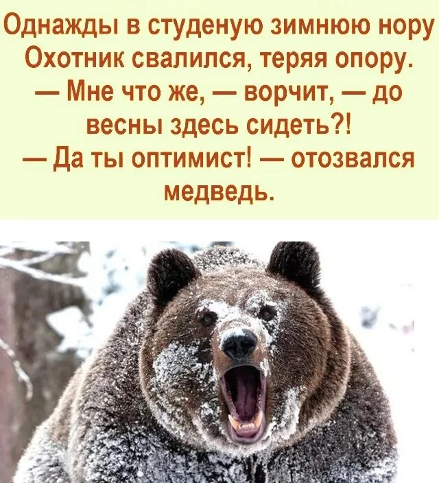 Да ты оптимист отозвался медведь. Однажды в Студёную зимнюю нору. Однажды в студеную зимнюю пору охотник свалился. Однажды в студеную зимнюю пору лошадка.