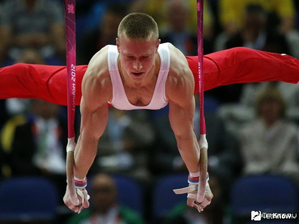 Пензенский спортсмен амлязин. Спорт гимнастика. Спортивная гимнастика вид спорта. Гимнаст. Гимнастика мужчины результаты