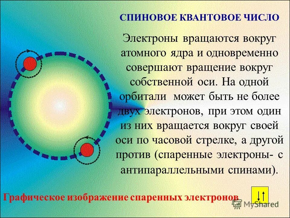 Между какими парами частиц внутри ядра