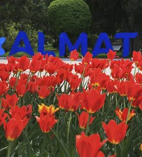 Алматы в мае
