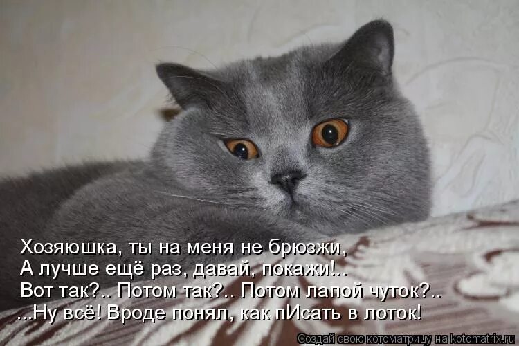 давай еще раз