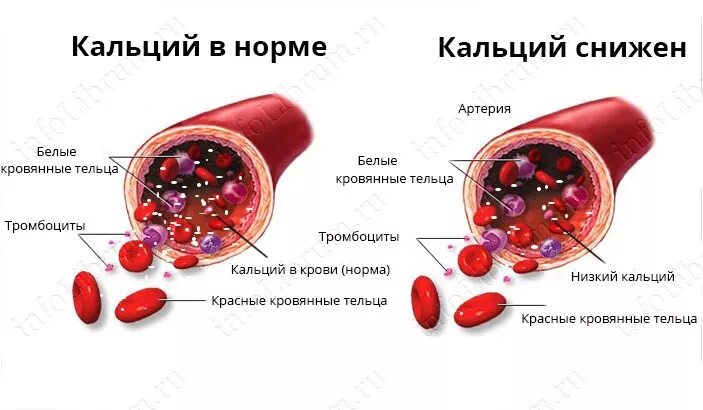 Кальций в крови что показывает у женщин. Показатели уровня кальция в крови. Повышенная концентрация кальция в крови. Показатель крови кальций ионизированный. Нормы общего и ионизированного кальция в крови.