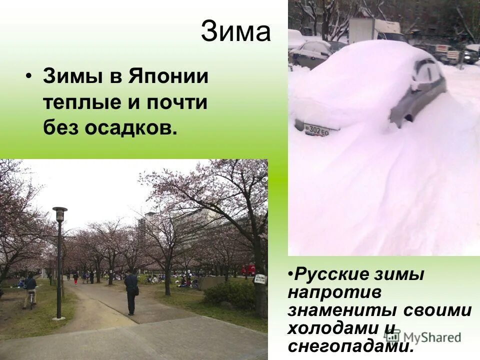 Сколько градусов зимой в японии. Зима в японии. зима в японии температура. какая температура зимой в японии. градусов зимой в японии.