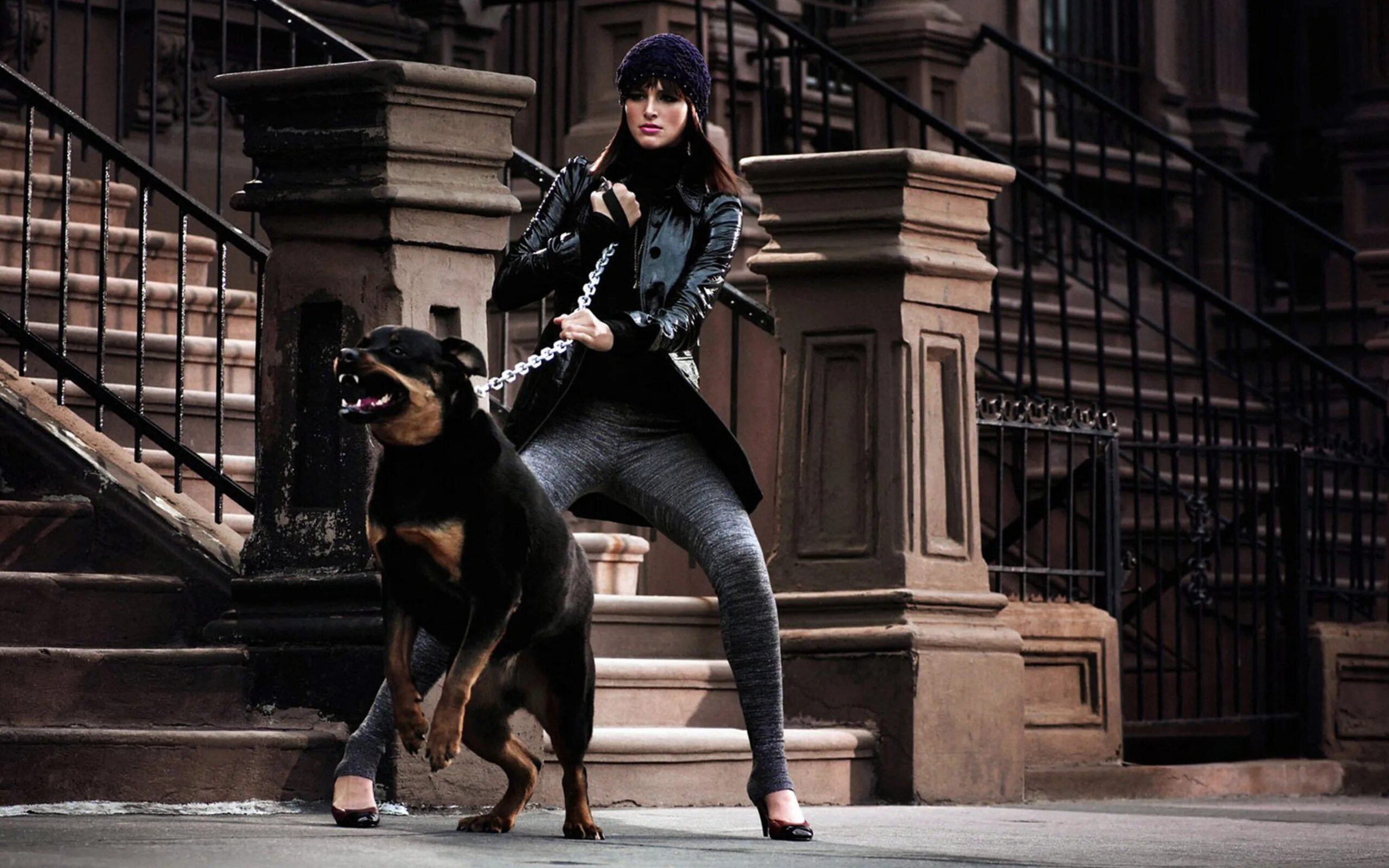 Woman 3 dog. Доберман и ротвейлер. Девушка с собакой фотосессия. Девушка с ротвейлером.
