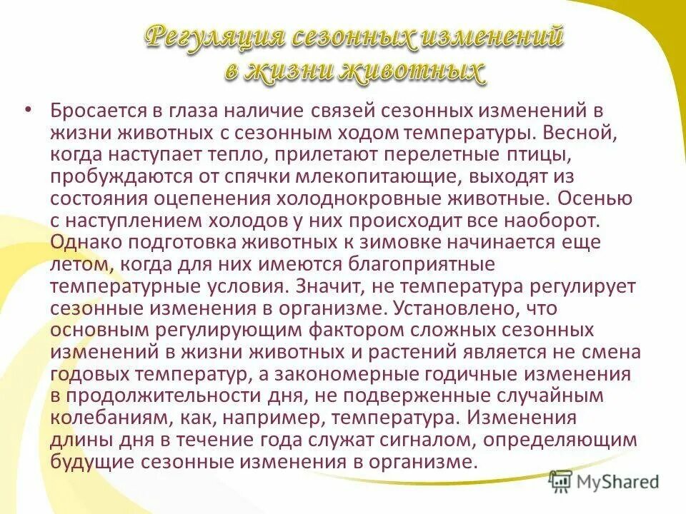 Сезонные изменения примеры 5 класс. Сезонные изменения в жизни. Сезонные явления в жизни животных. Сезонные изменения в жизни обитателей. Сообщение о сезонных изменениях в жизни животных.