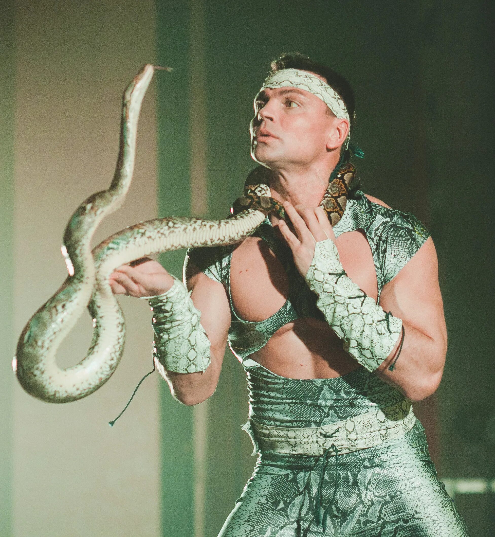 Кто был в змее в шоу. Дэвис Уэйд «змея и Радуга». Шоу со змеями. Цирк со змеями.