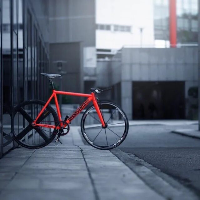 Fixed gear solid. Фиксед гир. фиксед гир стиль. fixed gear bike.