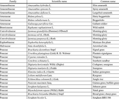 Names of sciences