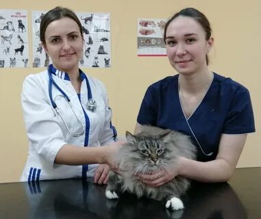 Клиники кузнецк