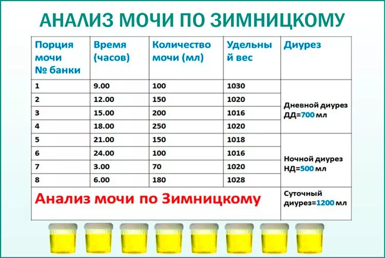 Сколько надо сдавать мочи. Анализ мочи по Зимницкому показатели в норме. Методы исследования мочи по Зимницкому. Проба мочи по Зимницкому норма. Исследование мочи. Пробы по Зимницкому, норма.