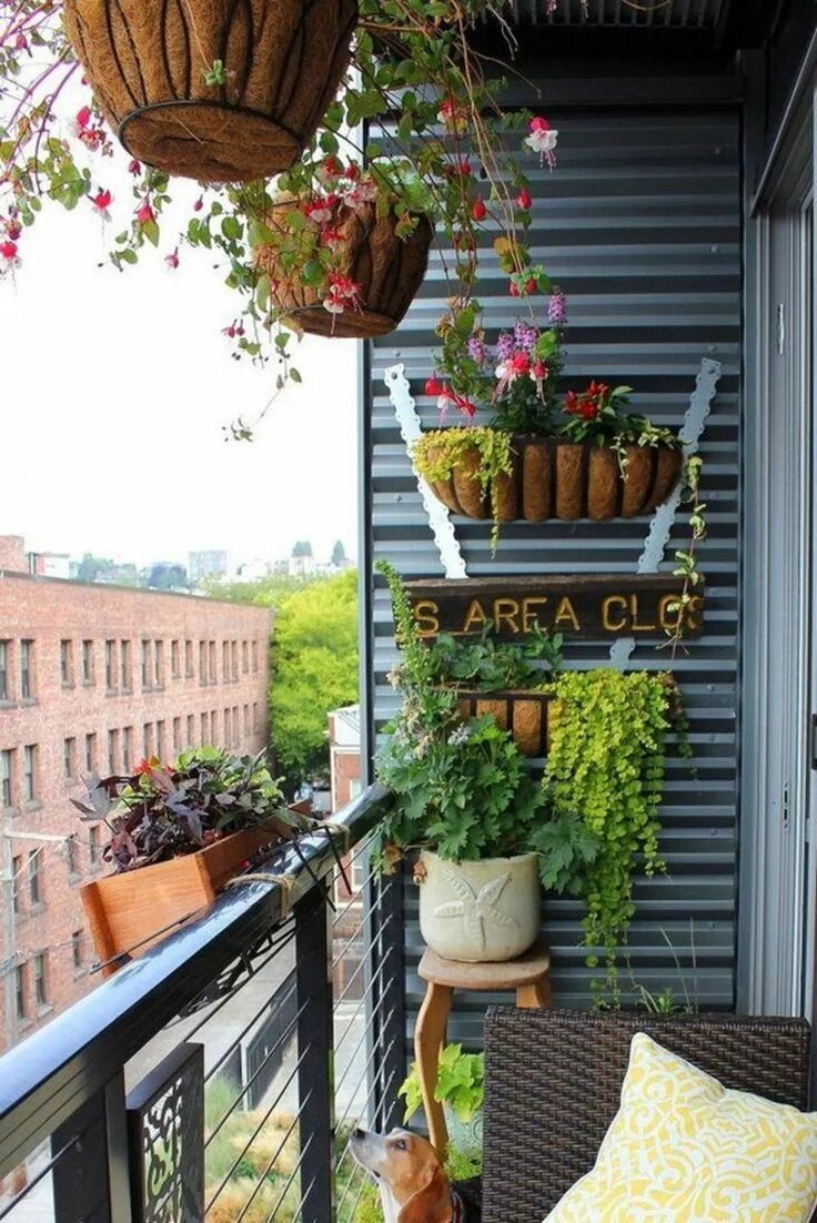 Balcony gardening. Украшение балкона. Лоджия с цветами. Красивый цветочный балконы. Красивый балкон.