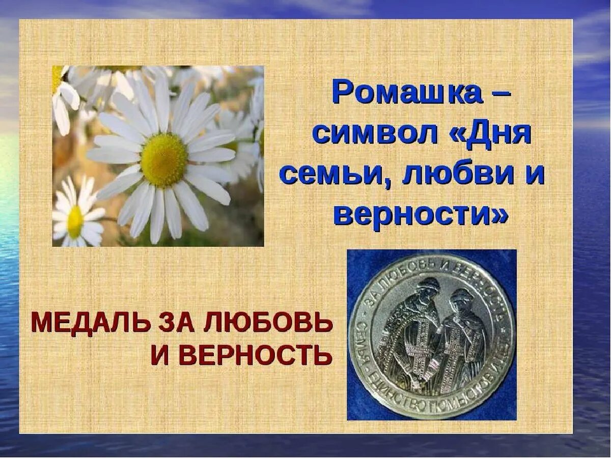 Символ верности в россии. С днём семьи любви и верности. Символ праздника Ромашка. Ромашка символ семьи. Ромашка символ семьи любви и верности.