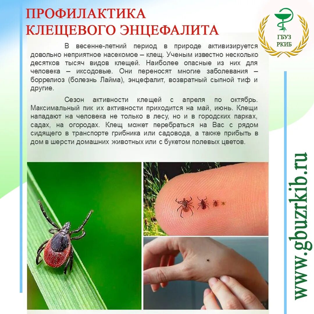 Как определить есть ли клещ. Клещевой лайм-боррелиоз. клещевой боррелиоз переносчик. профилактика клещевого вирусного энцефалита.