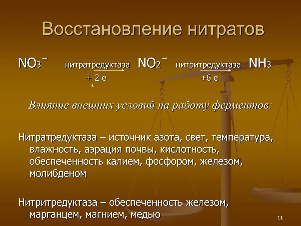 Азот нитраты и нитриты. Восстановление нитратов. Восстановление нитритов. Восстаговлениенитратов в нитриты. Восстановление нитратов до нитритов реакция.