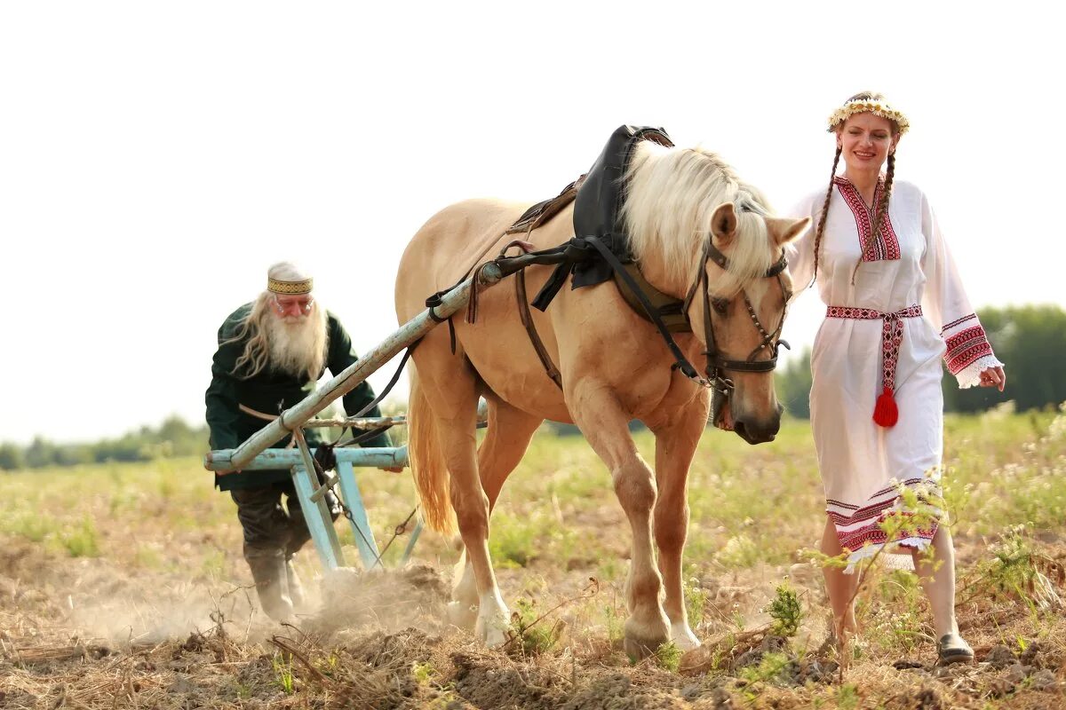 Что такое плуг в сельском хозяйстве. Плуг для лошади. Хозяйство в деревне. Лошадь пашет. Пахать землю на лошади.