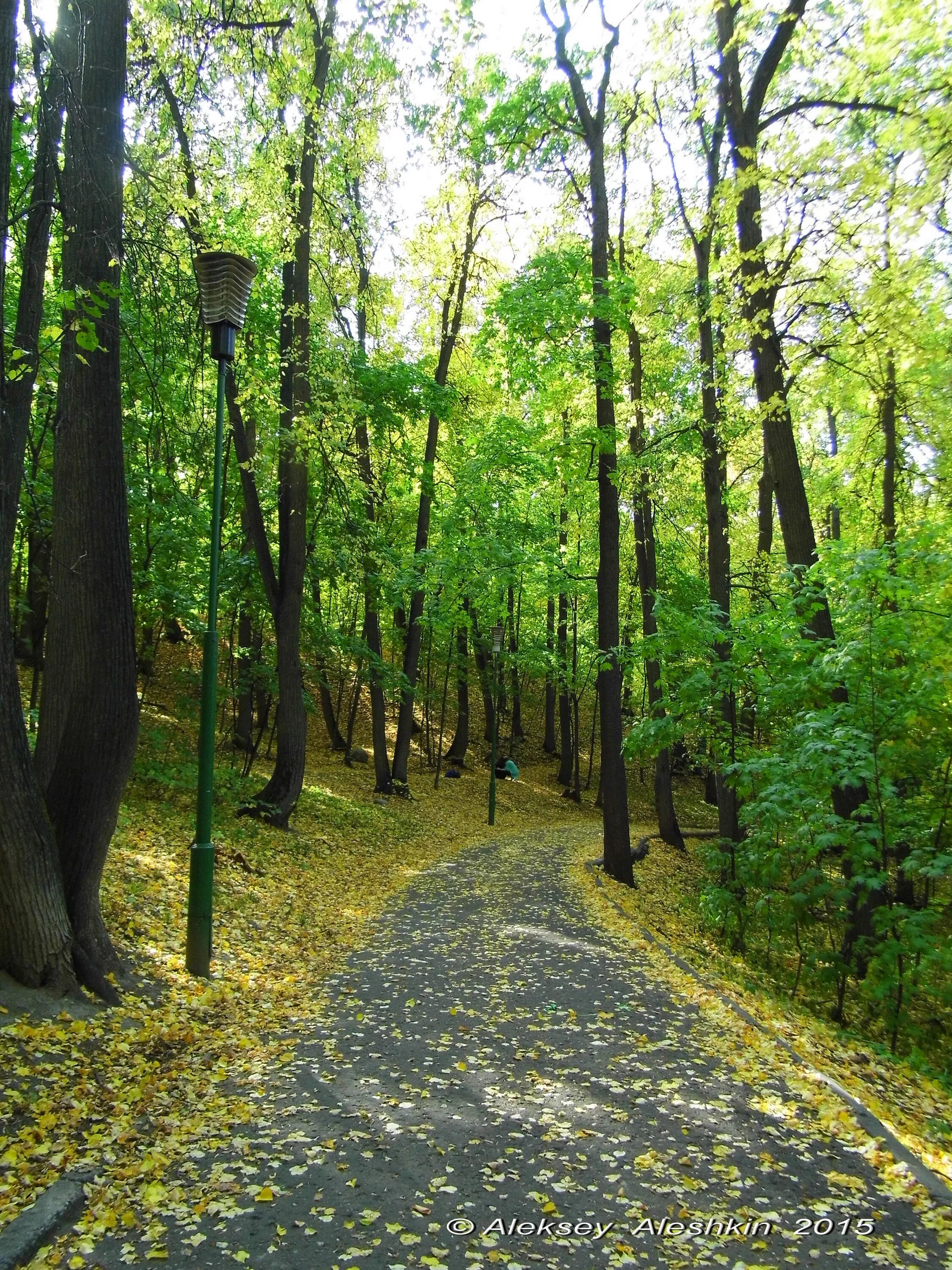 Сайт парка пенза. Пензенский парк Белинского. Тропа здоровья Пенза парк Белинского. Центральный парк Пенза. Парк Белинского парка.