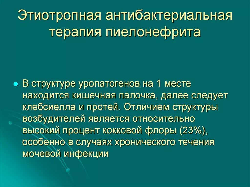 Путь является относительным. Путь является относительным