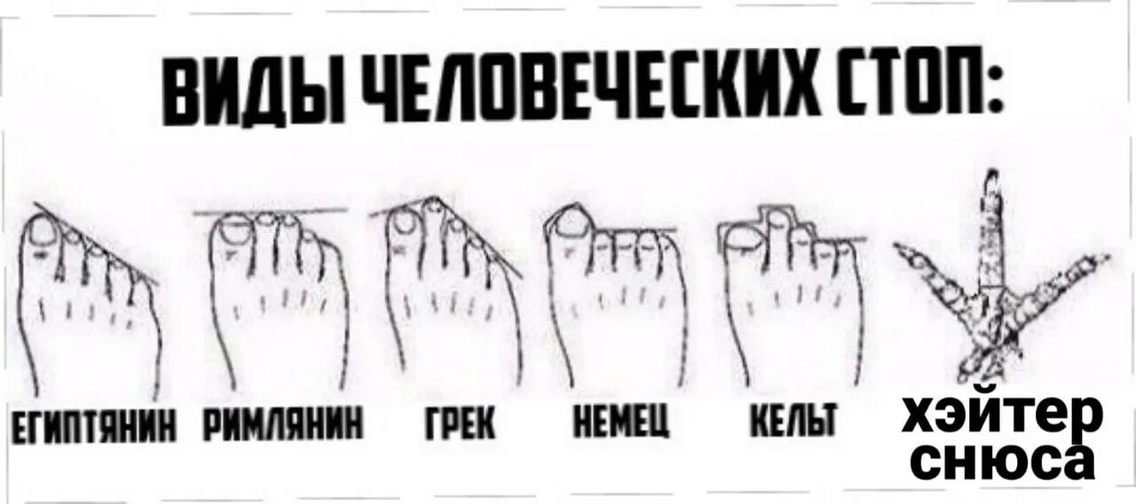 Пальцы на ногах виды. Ноги различных типов людей. Форма стопы. Ступни различных типов людей. 3 типа стопы