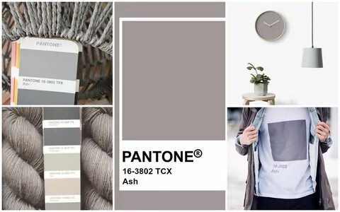 Ash pantone