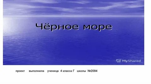 У черного моря презентация плешаков
