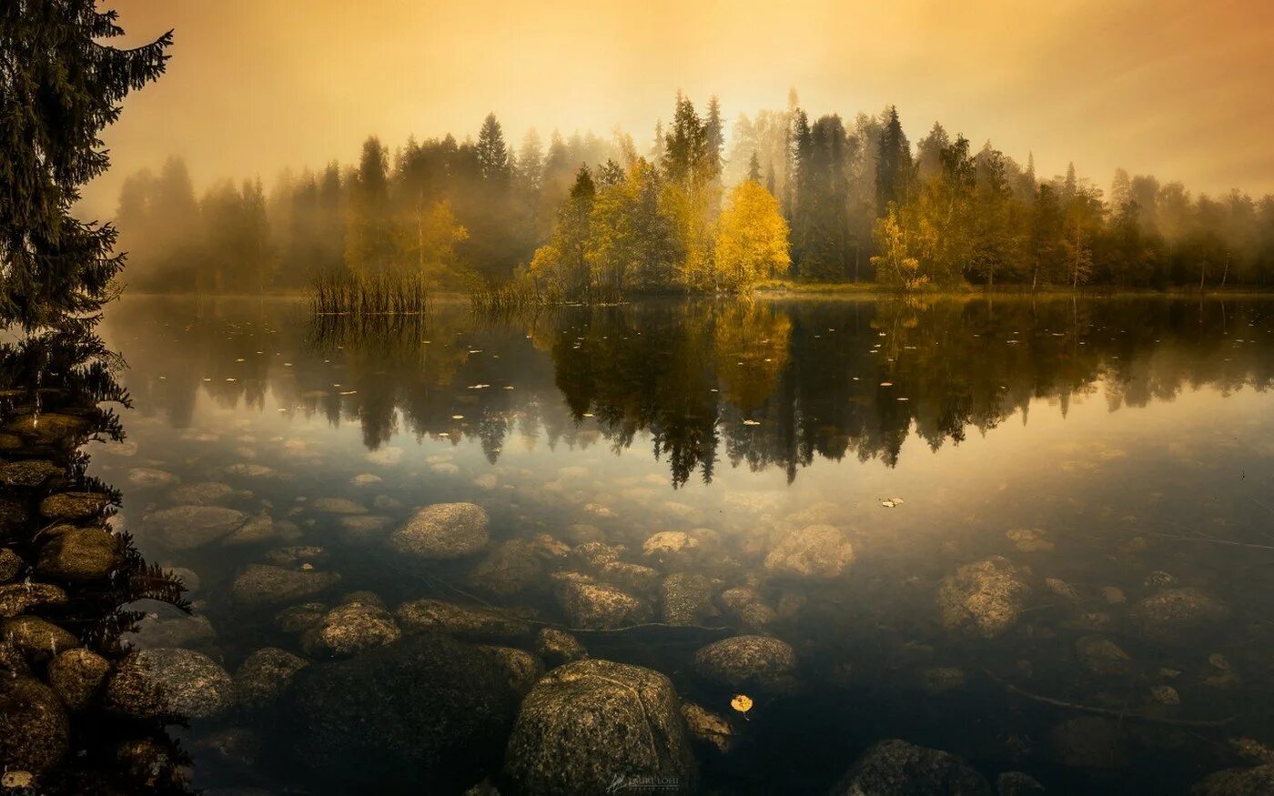 Картинки отражающиеся. Озеро в лесу. Пейзаж с отражением. Пейзаж с отражением в воде. Профессиональные пейзажи.