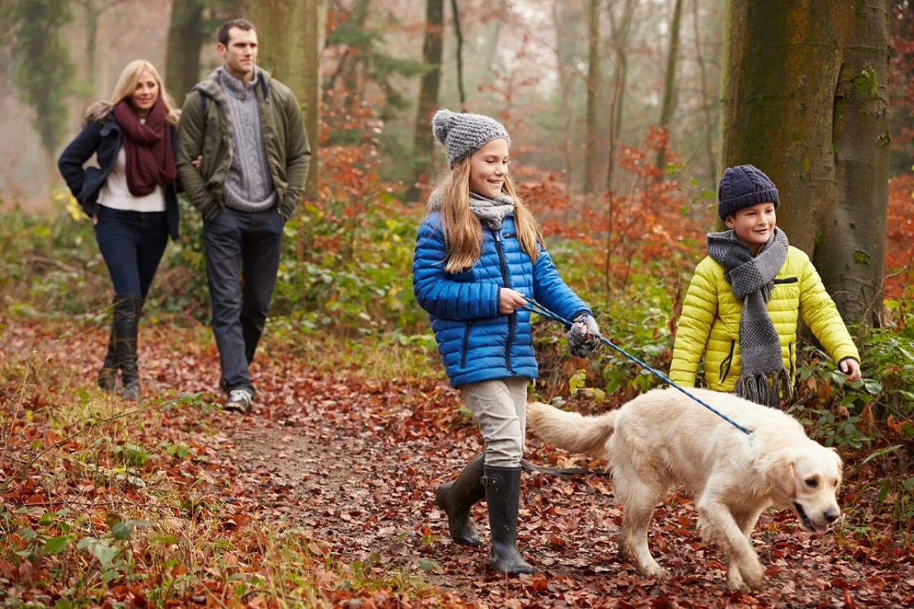 Гулять это. Прогулки на свежем воздухе. Семья на прогулке. Прогулка в лесу. Прогулка в парке.