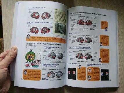 Японская система мозга