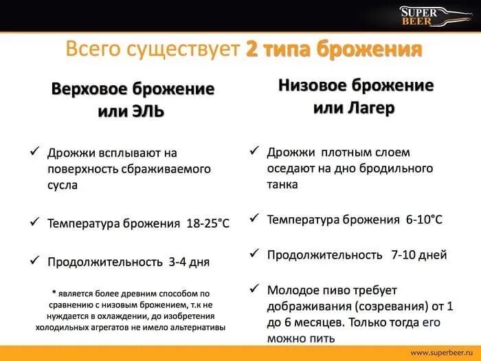 Верховое пиво. Пиво верхового и низового брожения. Различия верхового и низового брожения. Низовое и верховое брожение отличие.