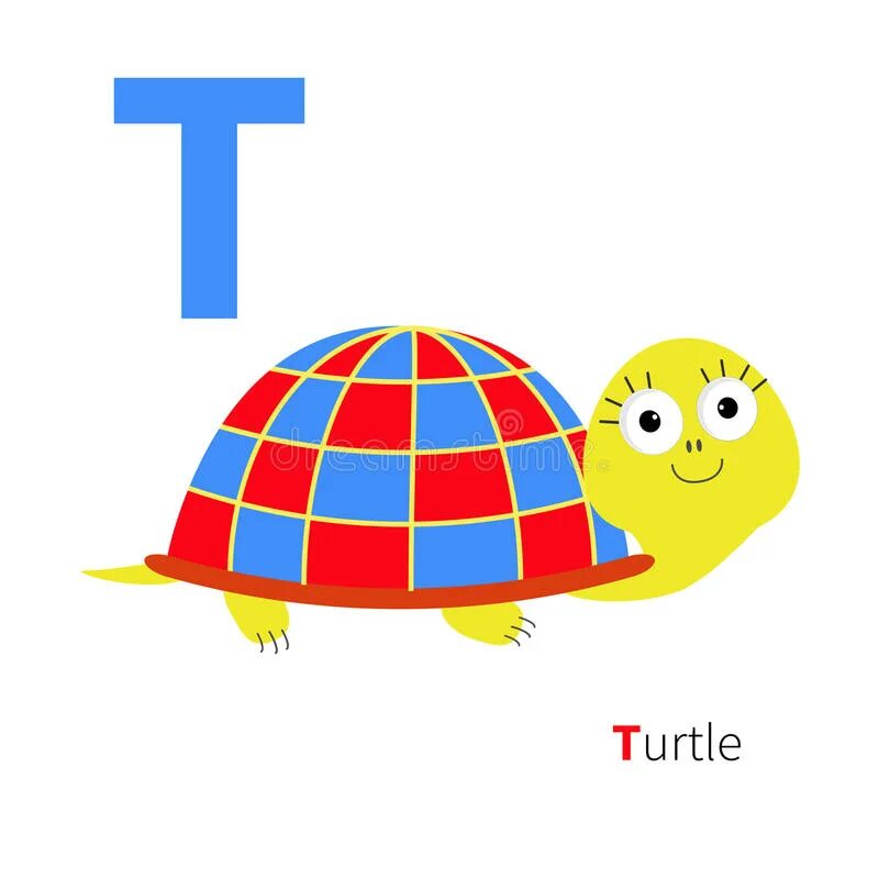 Letter t Turtle. Turtle с английской буквой t картинки. Изучение буквы t на английском с черепашкой. Черепаха письмо для малышей.