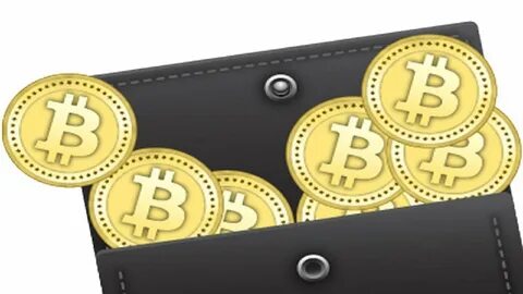 Create your wallet